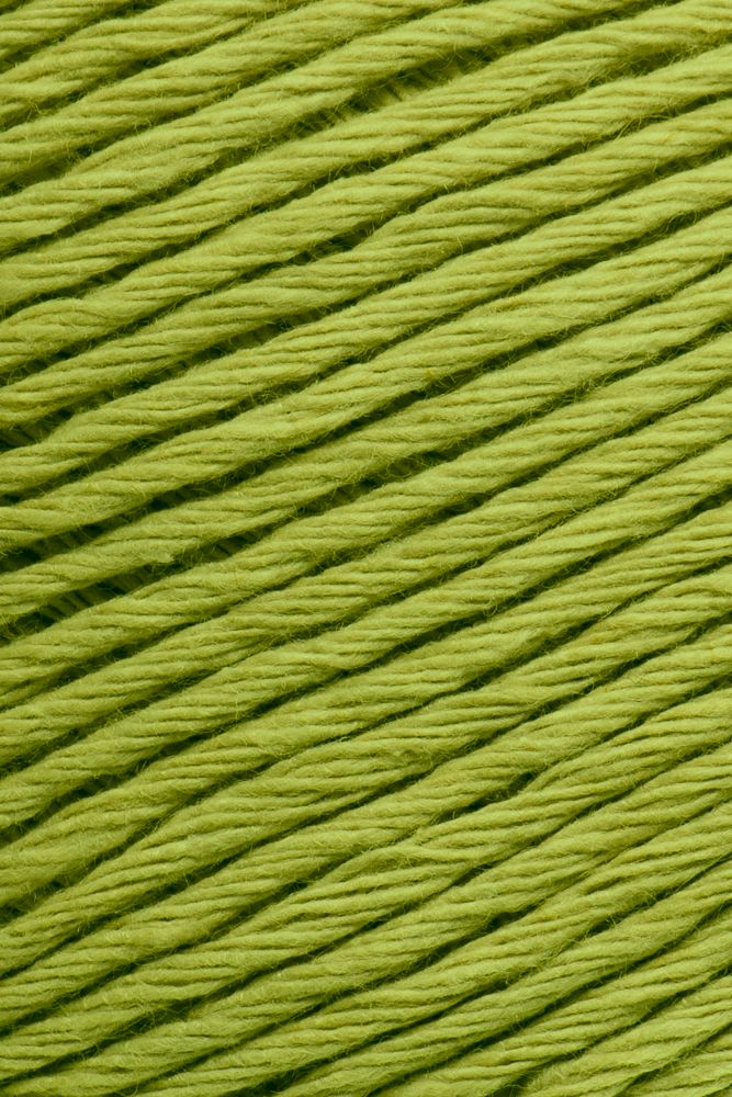 Laines du Nord Ecotone