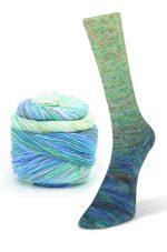 Paint Gradient Sock 16