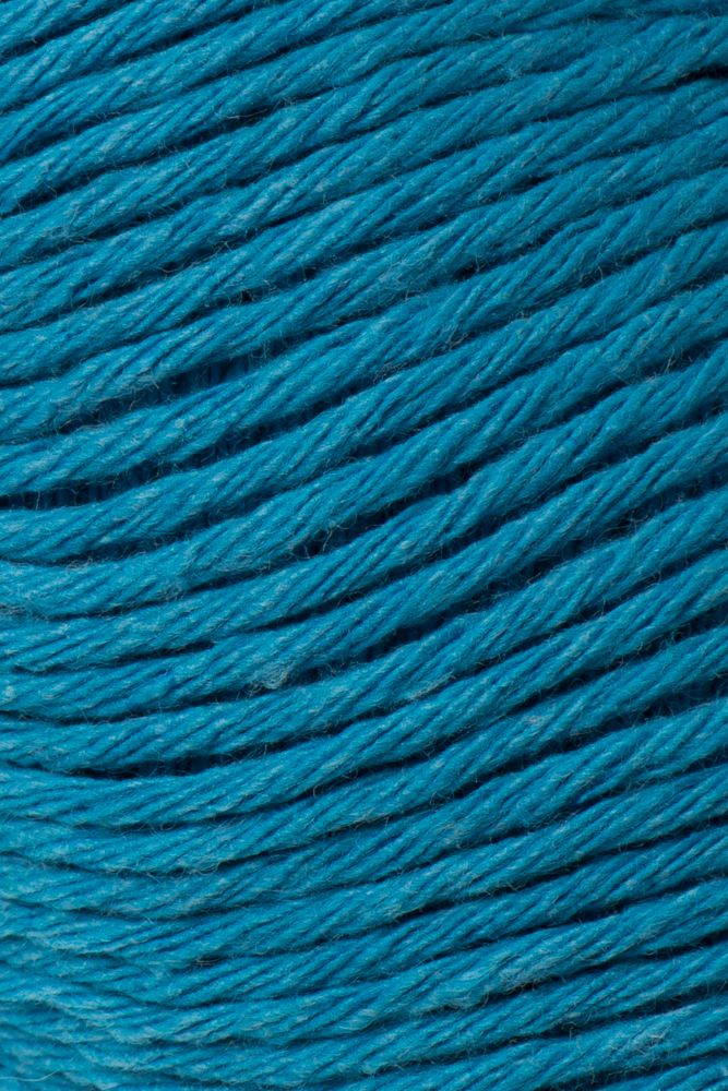 Laines du Nord Ecotone