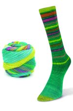 Laines du Nord Infinity Sock 13