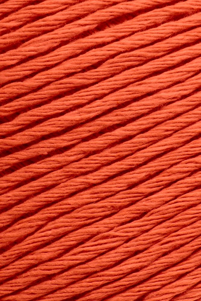 Laines du Nord Ecotone