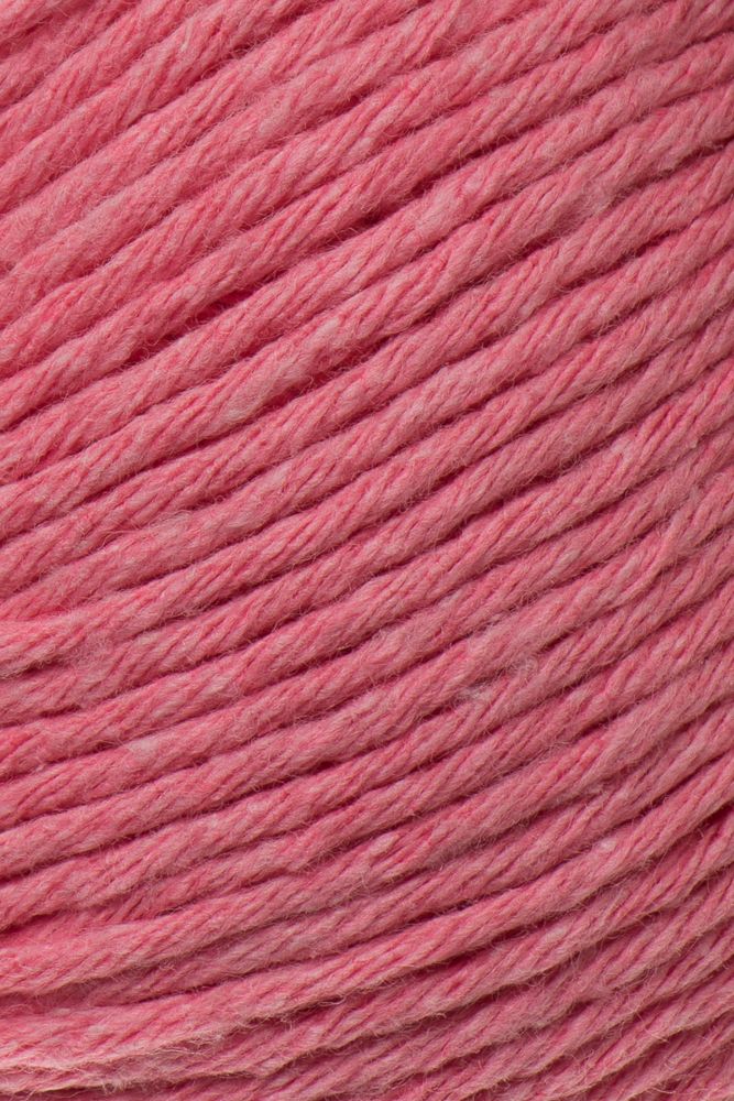 Laines du Nord Ecotone