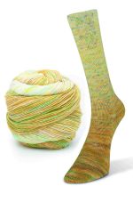 Paint Gradient Sock 17