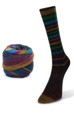 Laines du Nord Infinity Sock 16