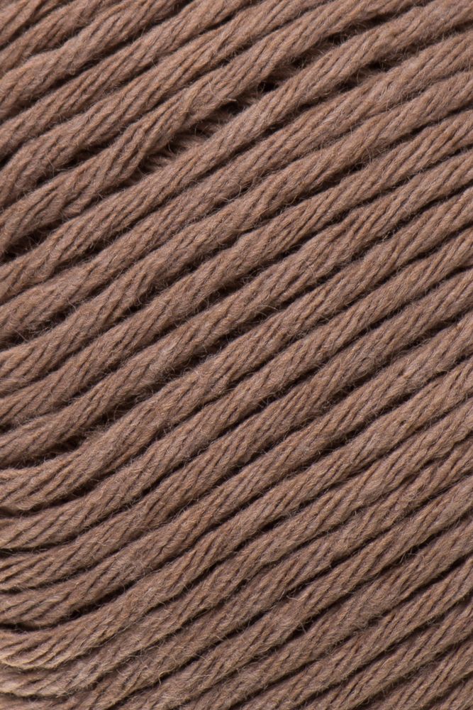 Laines du Nord Ecotone