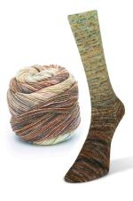 Paint Gradient Sock 14