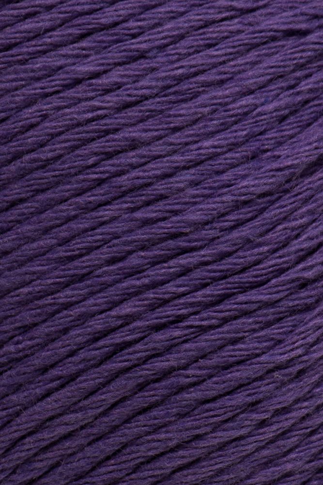 Laines du Nord Ecotone