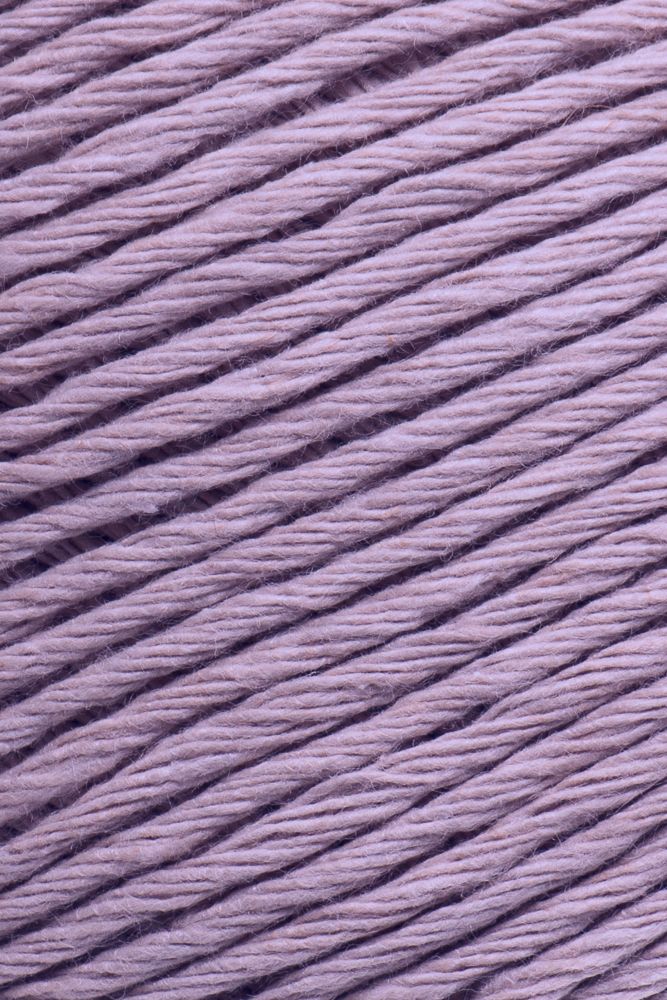 Laines du Nord Ecotone