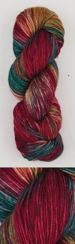 Symfonie_Terra_vr2016_old_delhi